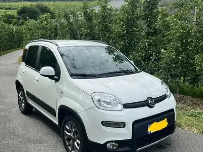 Usata Fiat Panda 4x4 Wild 86 CV (63 kW) 2020 Utilitaria