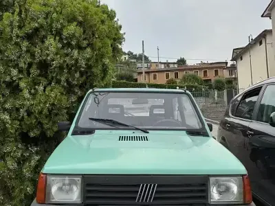 Usata Fiat Panda 4x4