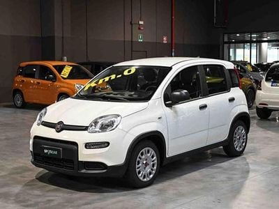 Usata Fiat Panda 70 CV (51 kW) 2023 Bianco Utilitaria
