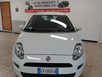 Usata Fiat Punto 69 CV (50 kW) 2014 Bianco Utilitaria