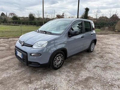 Usata Fiat Panda City Life 69 CV (50 kW) 2022 Grigio Berlina