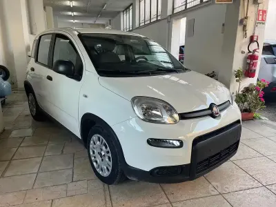 Usata Fiat Panda