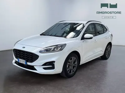 Usata Ford Kuga ST-Line 190 CV (139 kW) 2023 Frozen white SUV