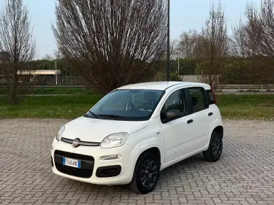 Usata Fiat Panda Easy 85 CV (62 kW) 2016 Bianco Utilitaria