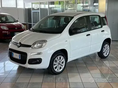 Usata Fiat Panda Easy 84 CV (61 kW) 2018 Bianco Utilitaria