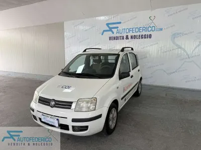 Usata Fiat Panda 60 CV (44 kW) 2009 Bianco Utilitaria