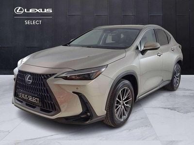 Usata Lexus NX200t 185 CV (136 kW) 2023 Argento SUV