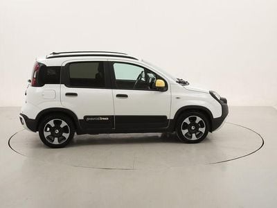 Usata Fiat Panda Cross Cross 70 CV (51 kW) 2025 Utilitaria