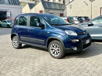 Usata Fiat Panda 4x4 95 CV (69 kW) 2018 Blu/azzurro Utilitaria