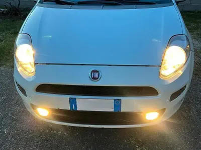 Usata Fiat Punto 75 CV (55 kW) 2014 Bianco Utilitaria