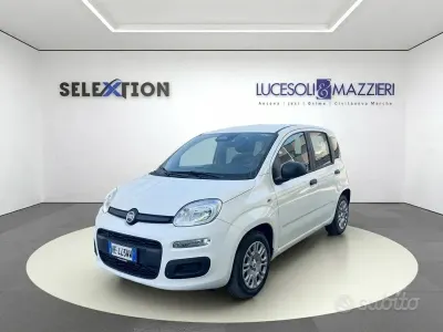 Nuova Fiat Panda Icon 65 CV (47 kW) 2026 Bianco Utilitaria