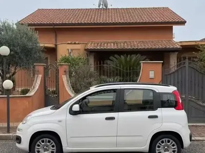 Usata Fiat Panda 2014 Bianco Utilitaria