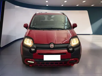 Usata Fiat Panda Cross Cross 69 CV (50 kW) 2023 Rosso Utilitaria