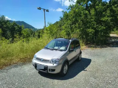 Usata Fiat Panda 4x4 Climbing 60 CV (44 kW) 2005 Grigio Utilitaria