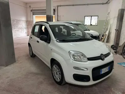Usata Fiat Panda