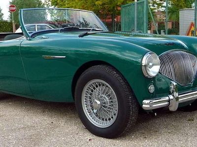 Usata Austin Healey 100 120 CV (88 kW) 1953 Verde Cabrio
