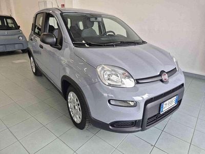 Usata Fiat Panda S 69 CV (50 kW) 2022 Grigio pastello Utilitaria