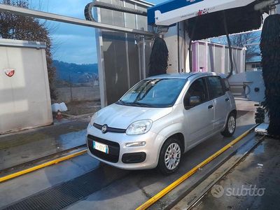 Usata Fiat Panda 69 CV (50 kW) 2019 Grigio Utilitaria