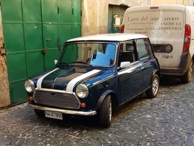 Rover Mini