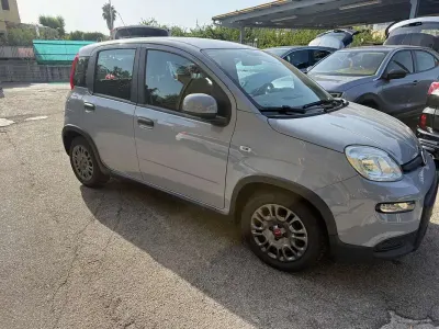 Usata Fiat Panda Cross