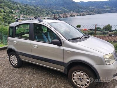 Usata Fiat Panda 4x4 60 CV (44 kW) 2007 Grigio Utilitaria