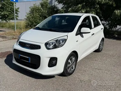 Usata Kia Picanto Active 65 CV (47 kW) 2016 Bianco Utilitaria
