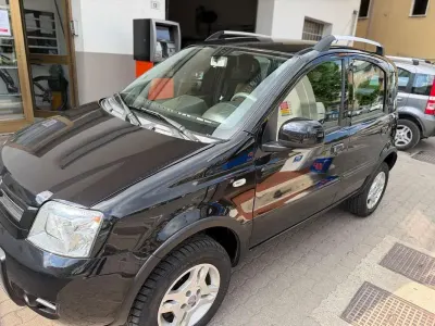Usata Fiat Panda 4x4 Climbing 75 CV (55 kW) 2011 Utilitaria