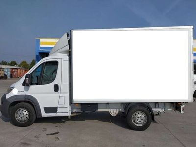 usata Fiat Ducato Ducatocon cella frigo FRC. Patente B.