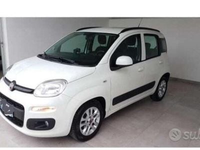 Usata Fiat Panda 2015 Bianco Utilitaria