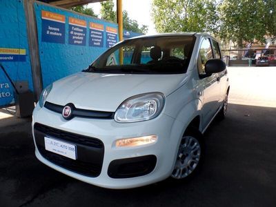 usata Fiat Panda 1.2 Pop*ok neopatentati* omologata 5 posti