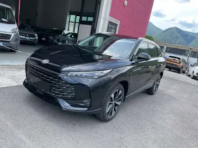 Usata MG HS