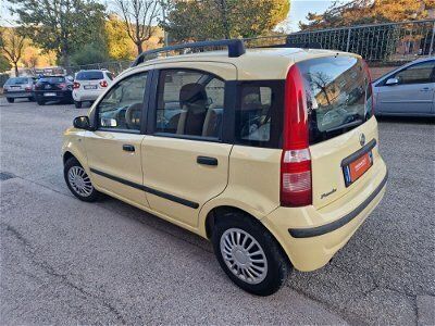 usata Fiat Panda 1.2 Emotion usato