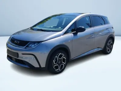 Usata BYD Dolphin