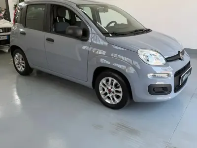 Usata Fiat Panda Cross