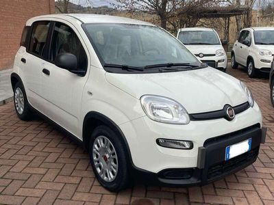 usata Fiat Panda 1.0 70cv Hybrid KM0