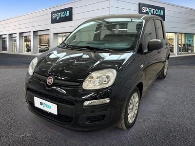 Usata Fiat Panda S 70 CV (51 kW) 2021 Nero Utilitaria
