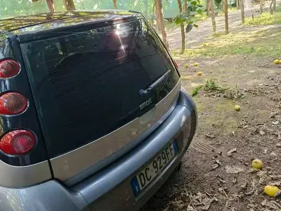 Usata Smart ForFour