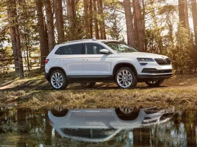 Nuova Skoda Karoq Executive 150 CV (110 kW) 2026 Argento SUV