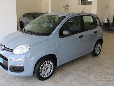 Usata Fiat Panda Easy 69 CV (50 kW) 2020 Grigio Utilitaria