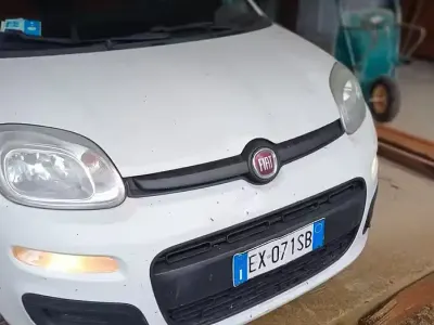 Usata Fiat Panda 75 CV (55 kW) 2014 Bianco Utilitaria