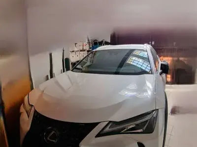 Usata Lexus UX 250h