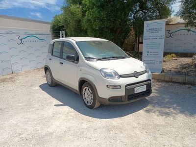Usata Fiat Panda 71 CV (52 kW) 2024 Bianco Utilitaria