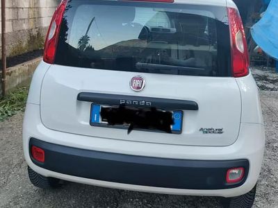 Usata Fiat Panda Lounge 85 CV (62 kW) 2013 Bianco Utilitaria