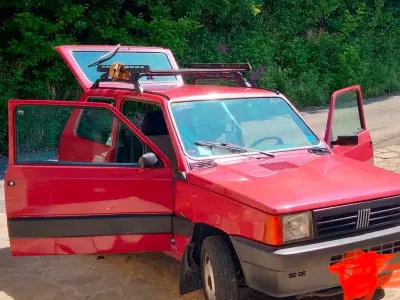 Usata Fiat Panda 4x4 50 CV (36 kW) 2003 Rosso Utilitaria