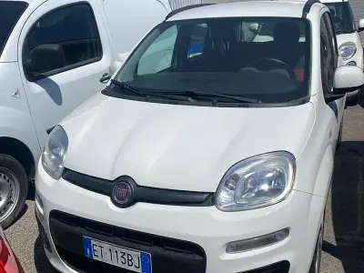Usata Fiat Panda Easy 69 CV (50 kW) 2013 Bianco Utilitaria