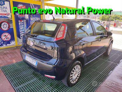 usata Fiat Punto Evo Punto Evo 1.4 5 porte 150° Natural Power
