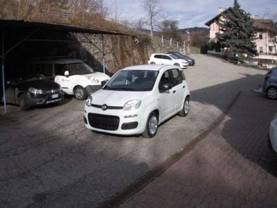 Nuova Fiat Panda Icon 69 CV (50 kW) 2025 Bianco Utilitaria