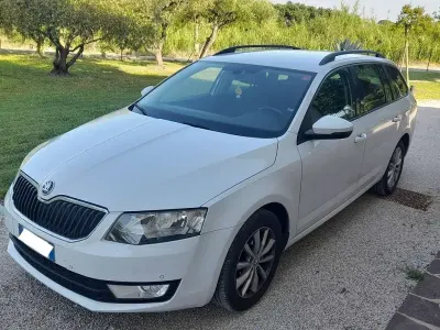 Usata Skoda Octavia G-TEC Executive 110 CV (80 kW) 2016 Bianco Station wagon