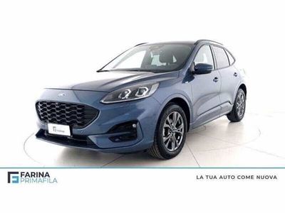 usata Ford Kuga 2.0 EcoBlue Hybrid 150 CV 2WD ST-Line X