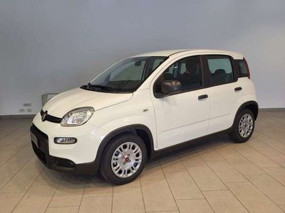 usata Fiat Panda 1.0 firefly hybrid s&s 70cv